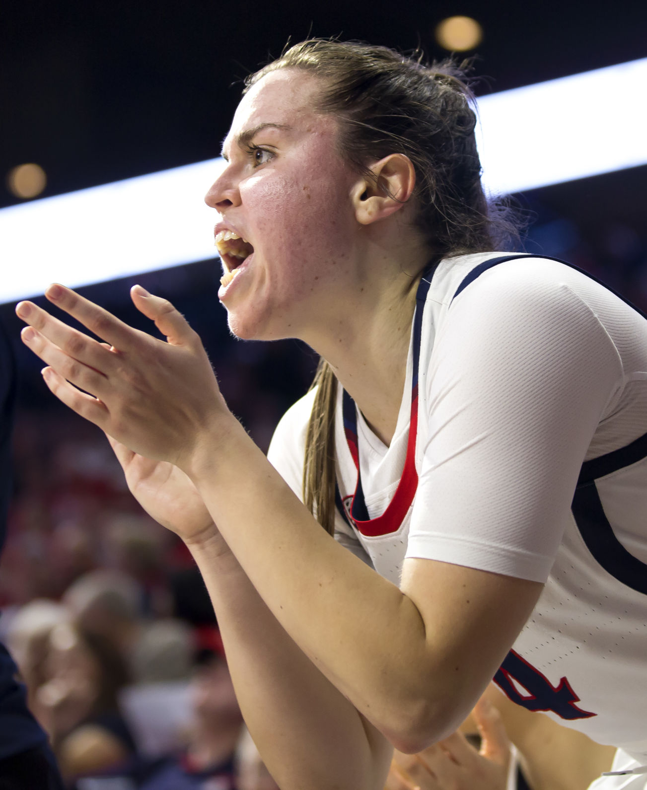 Arizona vs Tennessee State